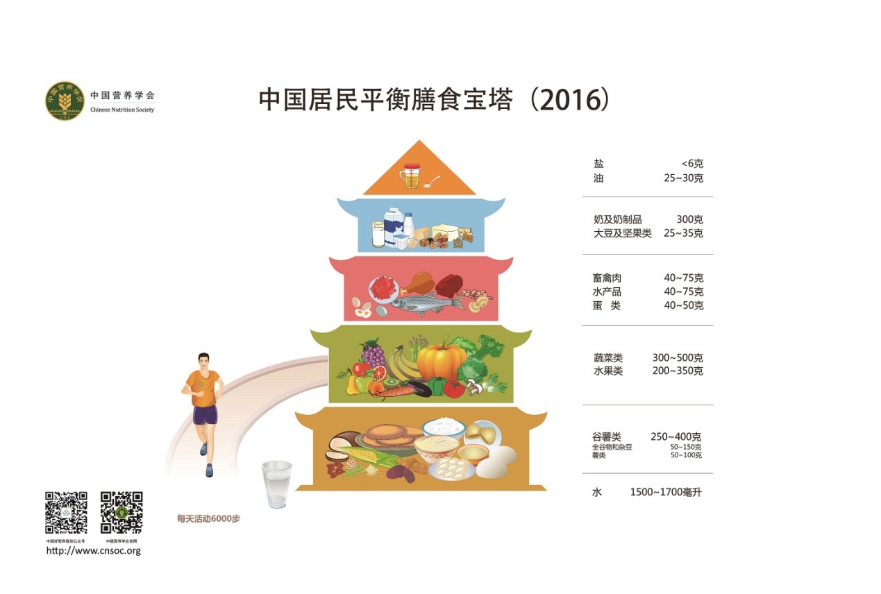 植物蛋白产品